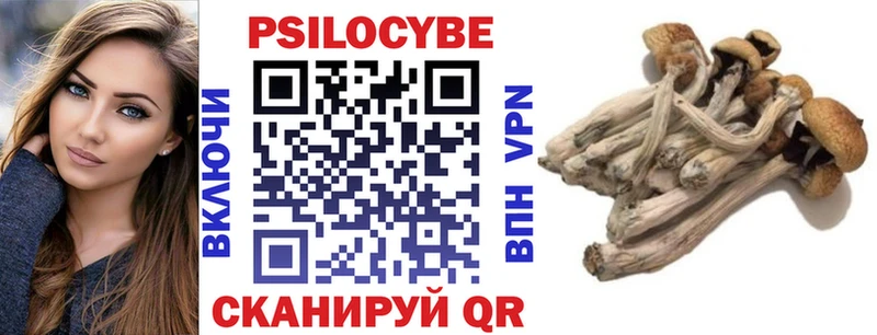 Псилоцибиновые грибы прущие грибы  сколько стоит  Калуга 